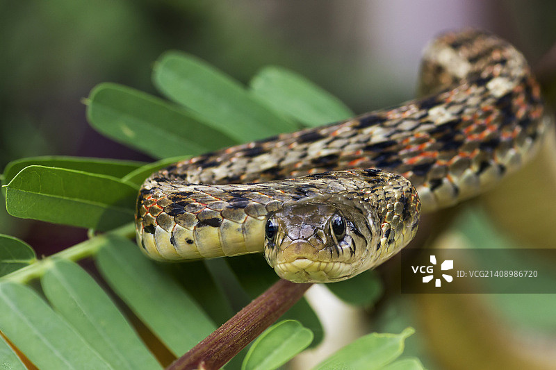 近距离接触图片素材