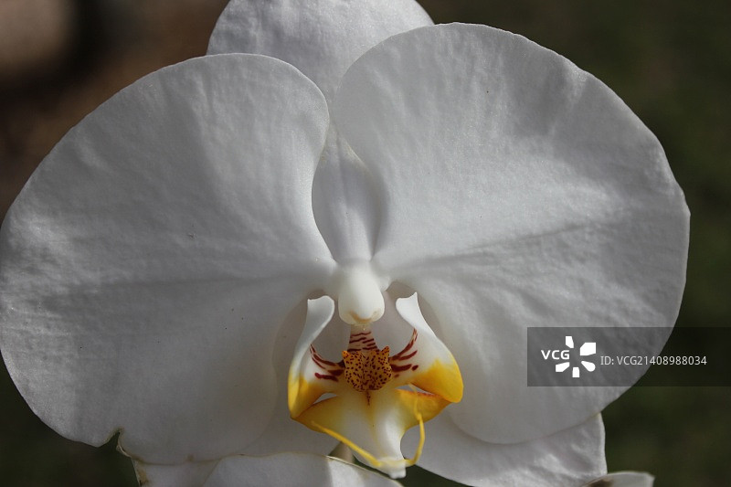 摄影：DMC图片素材