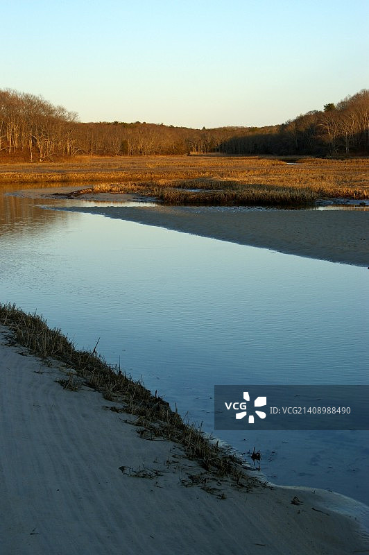 沼泽入口图片素材