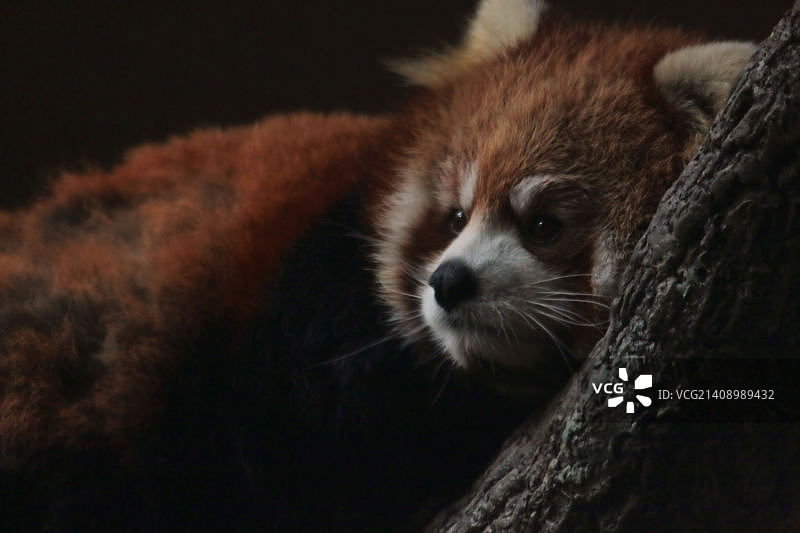 无标题的图片素材