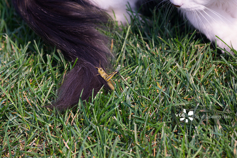大胆的举动，年轻人图片素材
