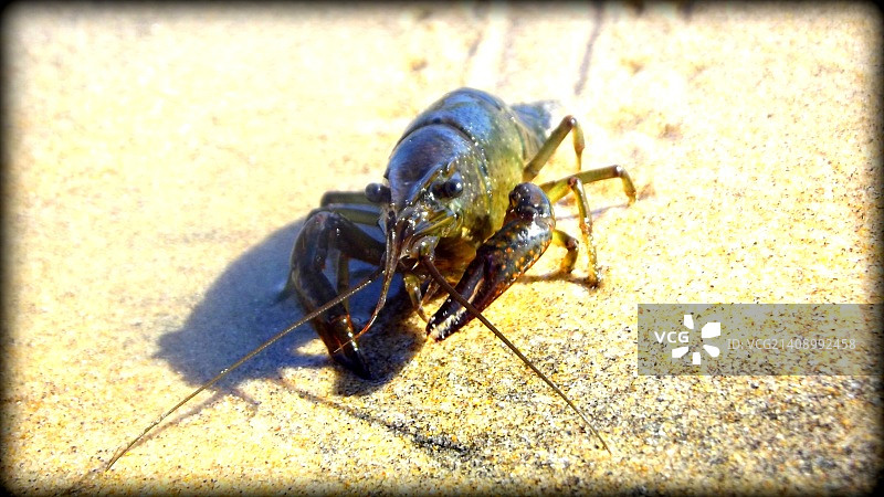 葡萄牙锡尼什图片素材