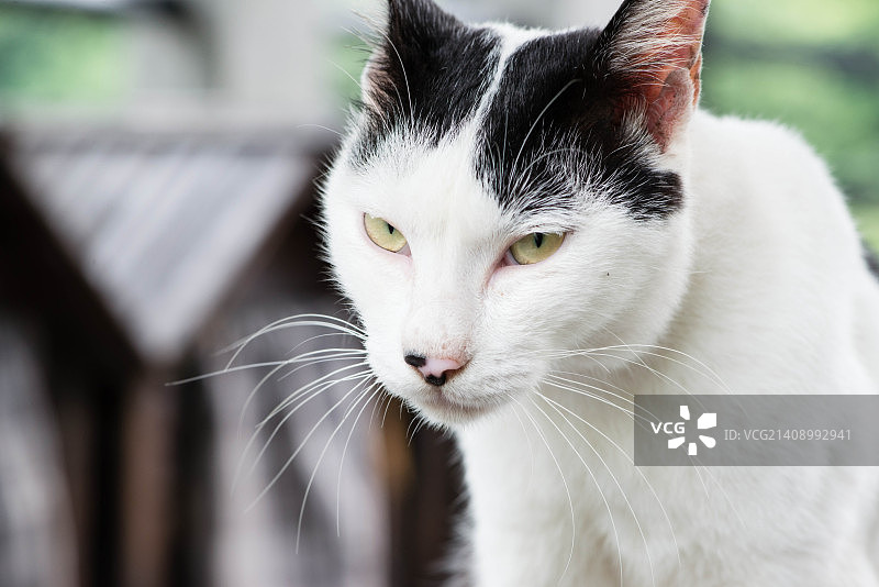 中国台湾基隆图片素材