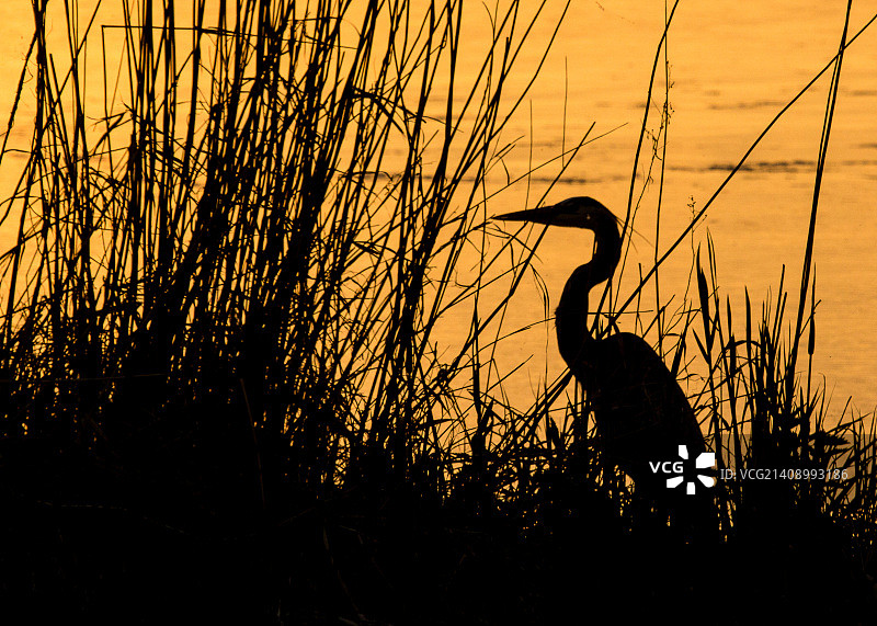 美国底特律湖区图片素材