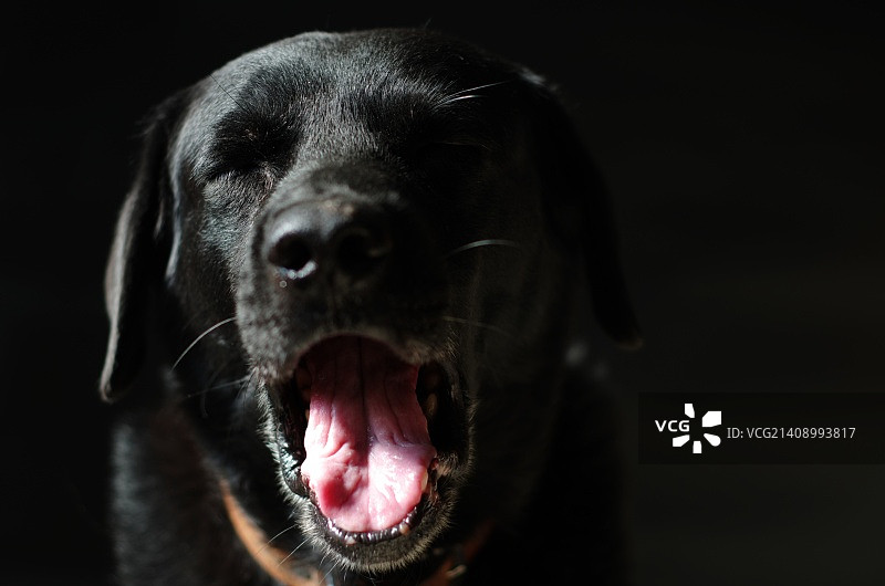 中国台湾埔里图片素材