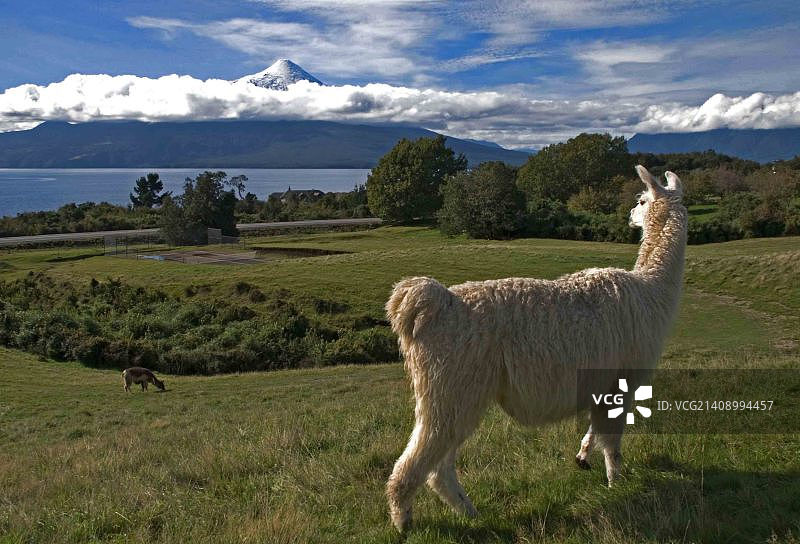 欣赏奥索尔诺火山图片素材