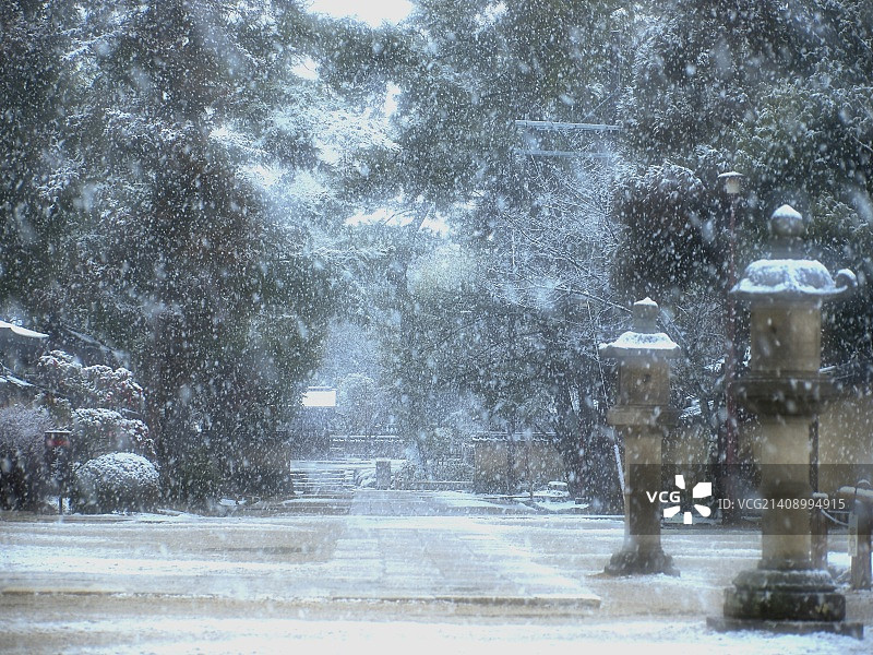 奈良雪景图片素材