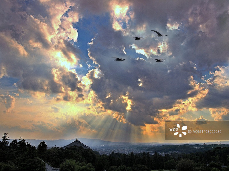 日本奈良市图片素材