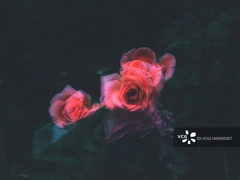 日本名张市图片素材