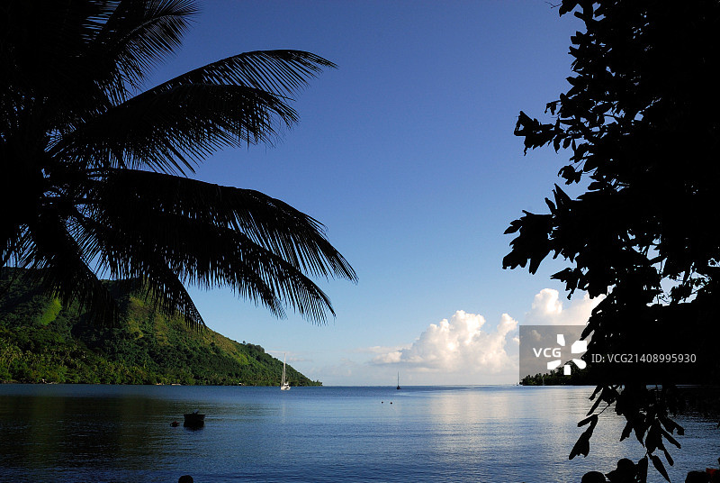 库克湾，茉莉雅图片素材