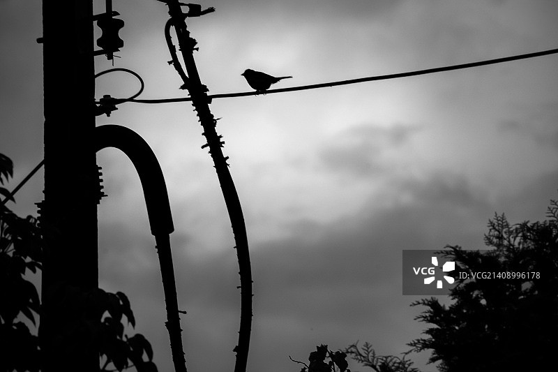 独自悬挂图片素材