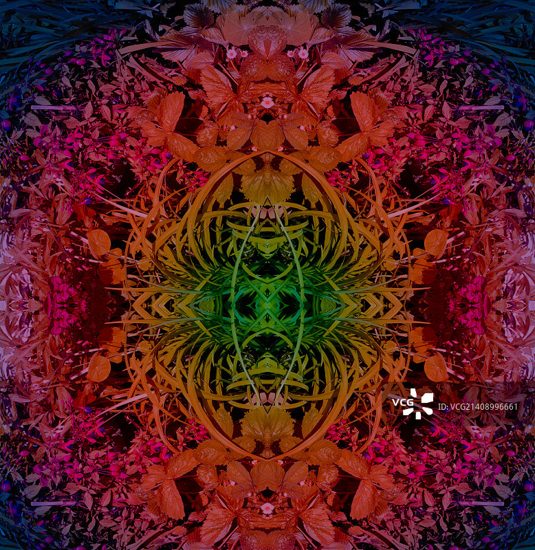 循环中图片素材