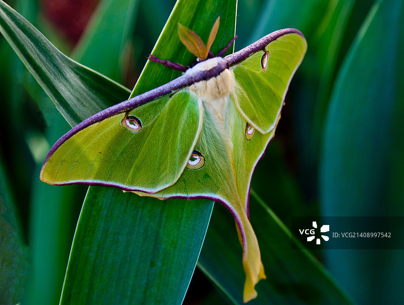 注视着你图片素材