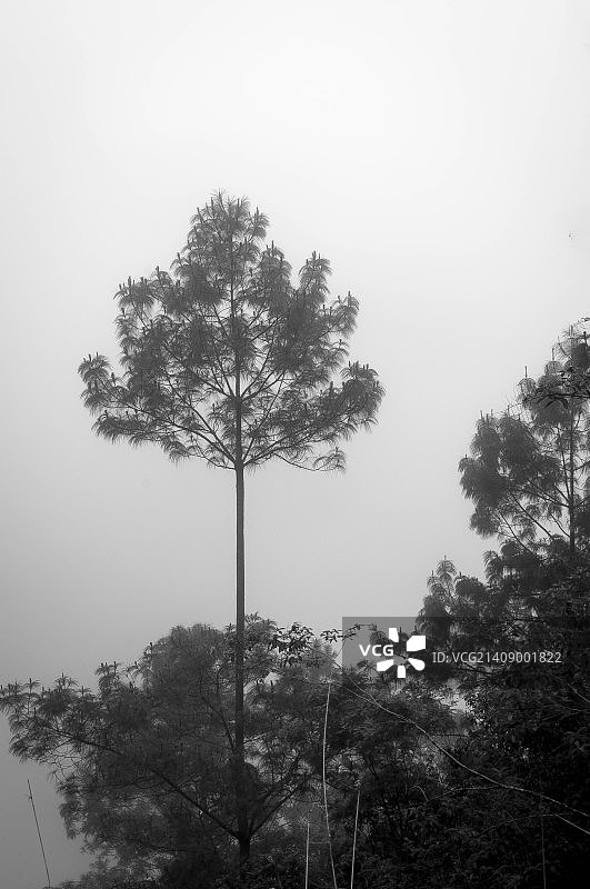 危地马拉城，危地马拉图片素材