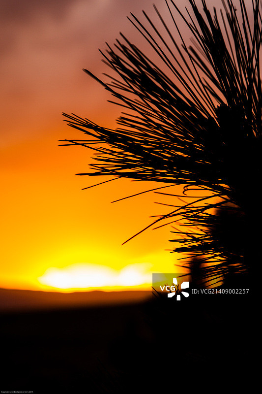 摄影：凯文·哈特菲尔德图片素材