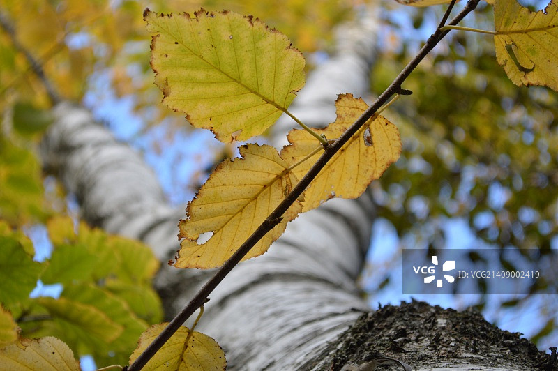 美国克利尔湖图片素材