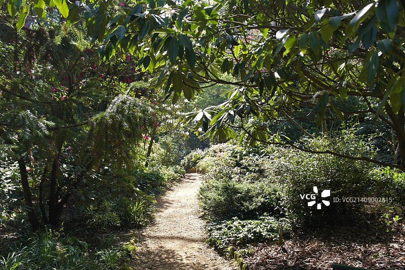 阿伯茨伯里亚热带花园[5]图片素材