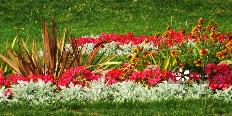 海滨花园图片素材