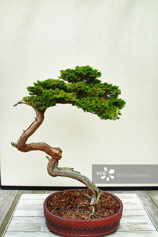 无标题的图片素材