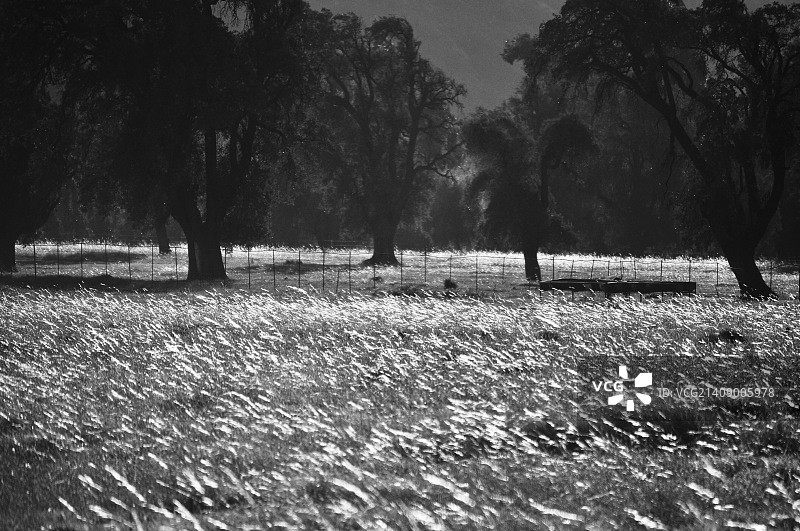 小教堂图片素材