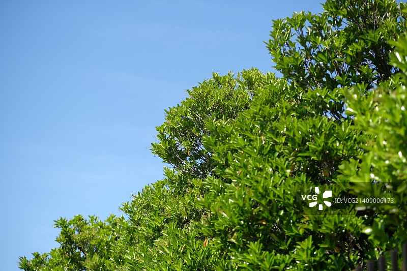 DSCF2028.JPG图片素材