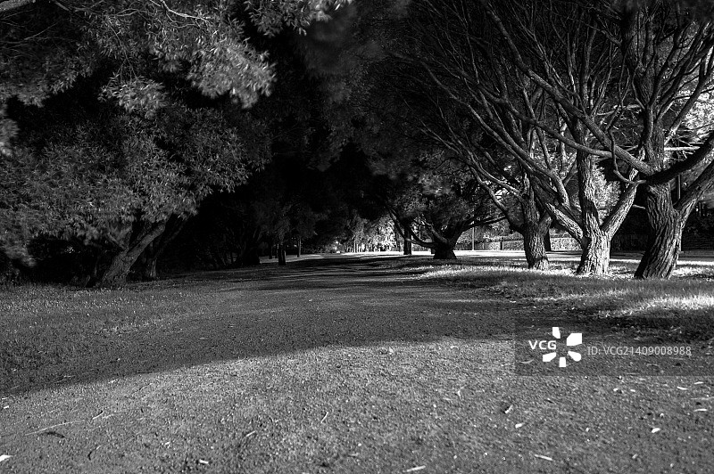 夜间摄影图片素材