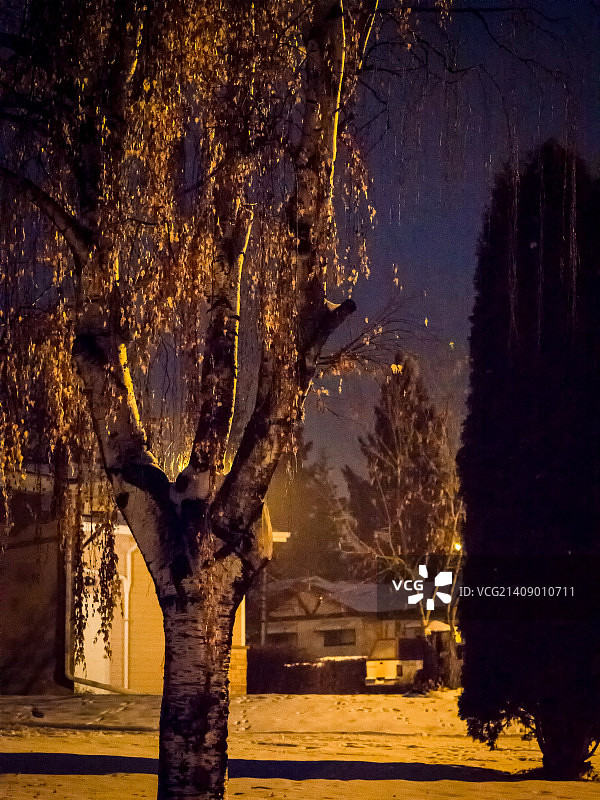 第307天 - 11月2日：午夜太阳之地图片素材