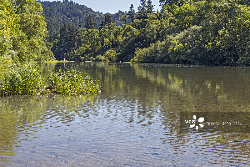 加利福尼亚蒙特里奥日落海滩图片素材