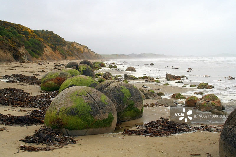 莫拉基博尔德斯图片素材