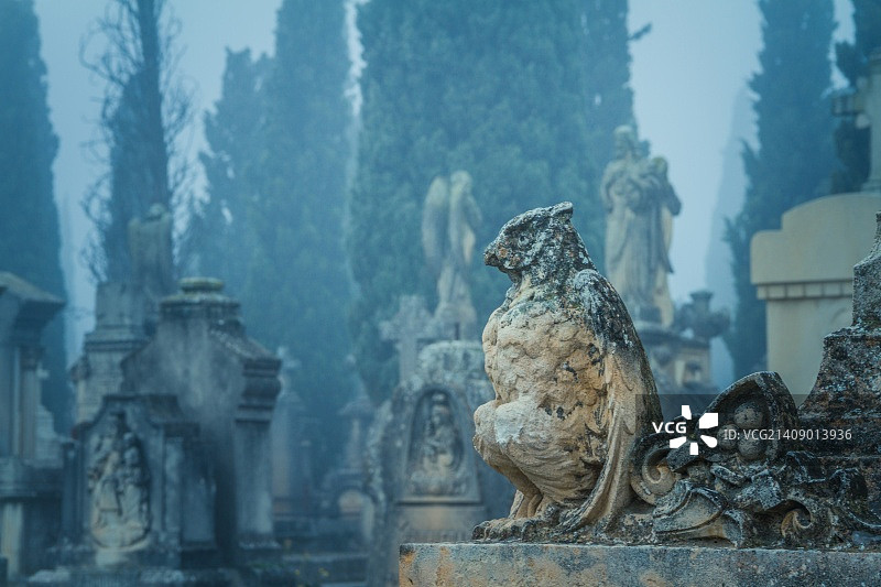 无标题的图片素材