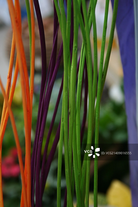 彩色木棍图片素材