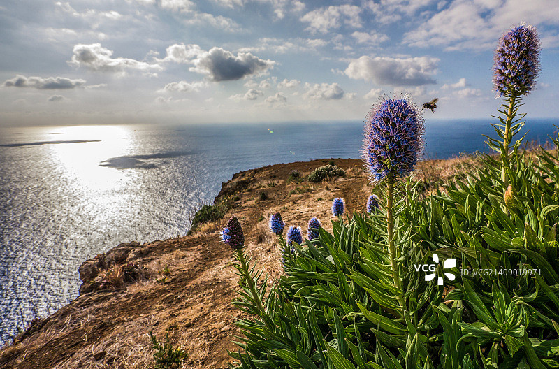 帕尔戈角图片素材