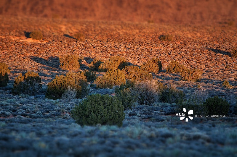 莫哈韦沙漠的日落与阴影图片素材