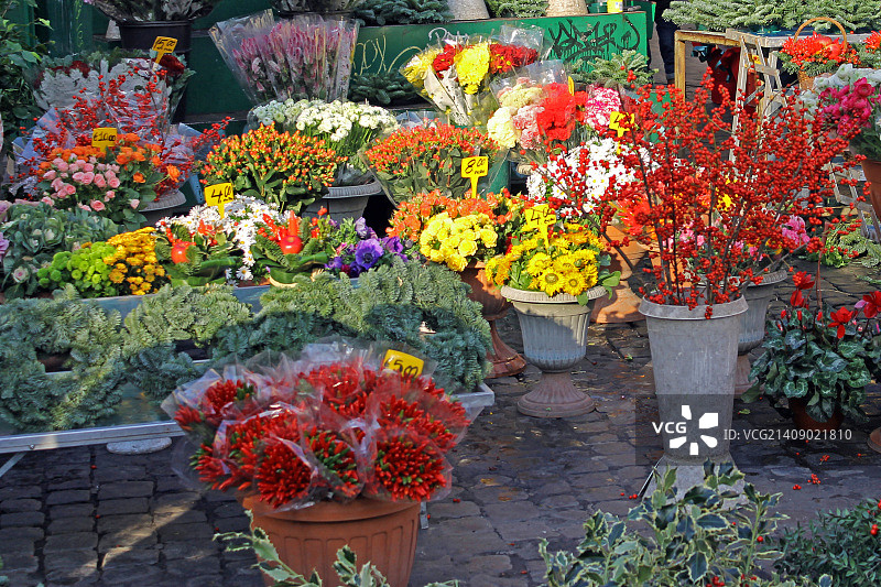 鲜花广场图片素材