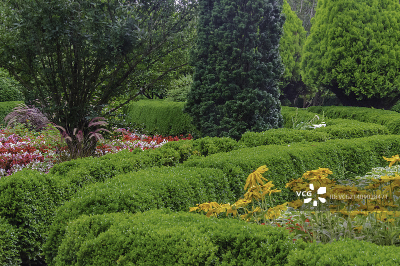 巴恩斯利花园-蜿蜒树篱图片素材