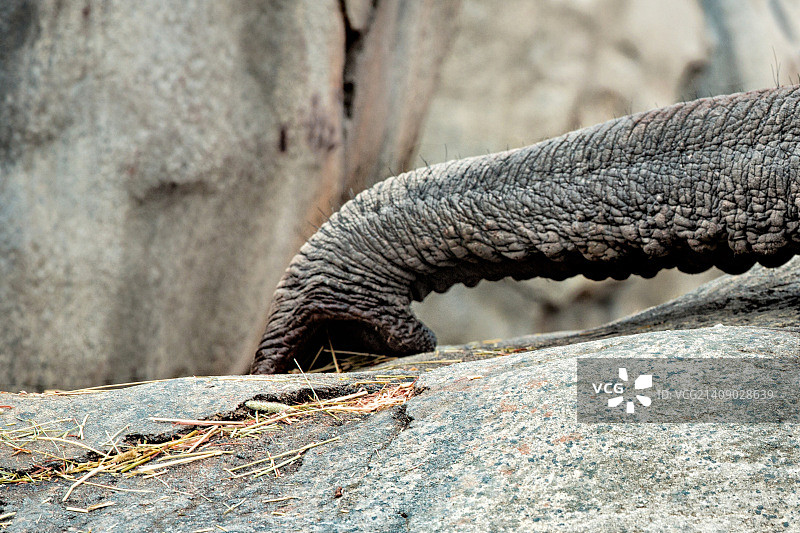 你的口红印记图片素材