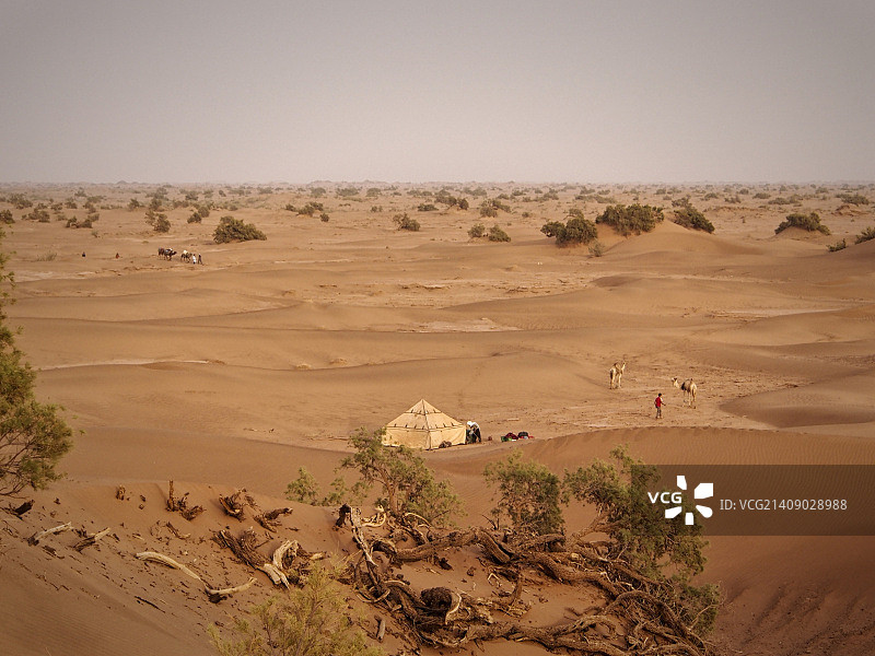 沙漠中的柏柏尔人营地图片素材