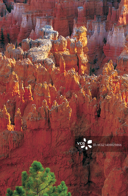 石柱（垂直构图）图片素材