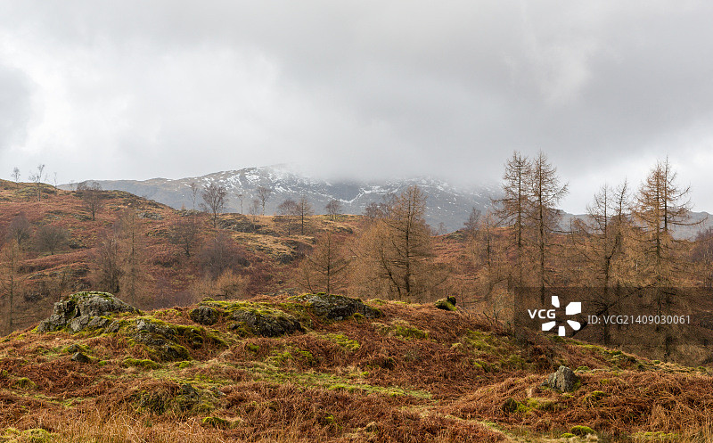 塔恩豪斯景色图片素材