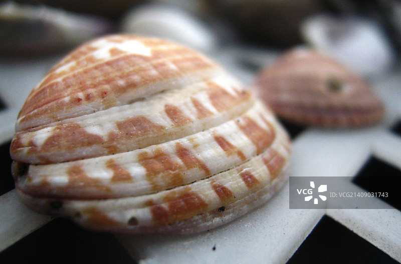 奥斯特拉图片素材