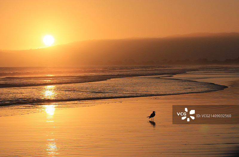 斯廷森海滩日落图片素材