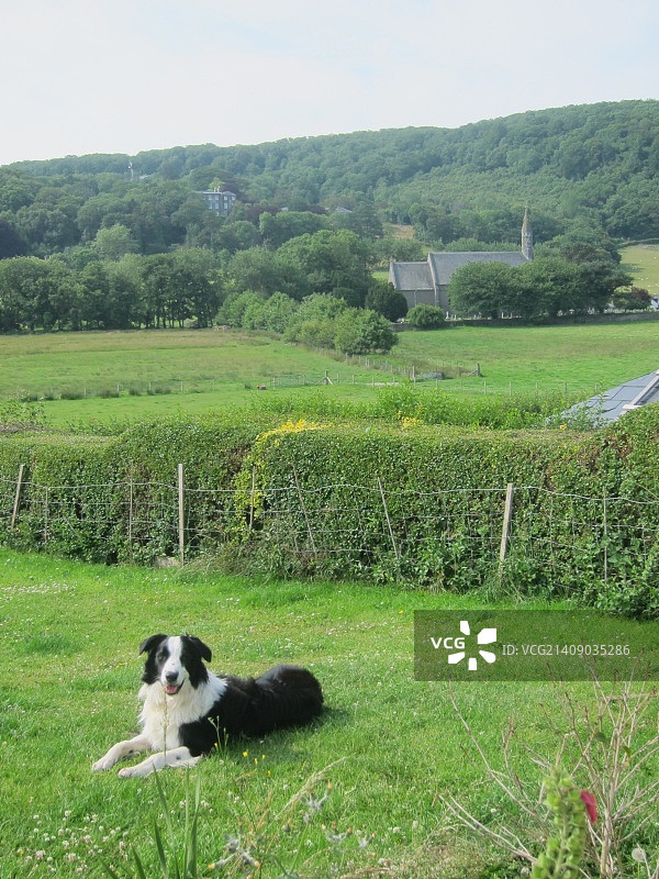 英国弓街图片素材