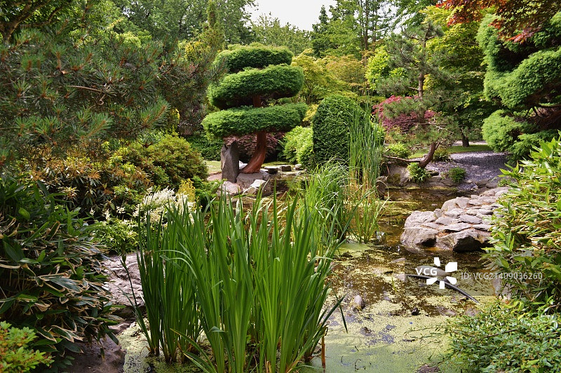 日式庭院图片素材