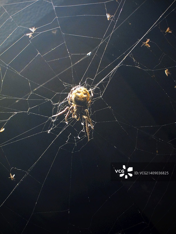 舍伯恩火车站，2013年5月7日图片素材