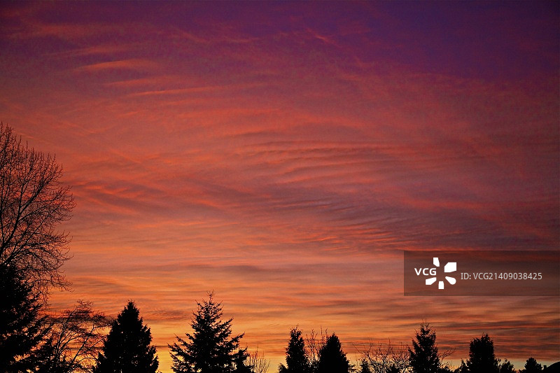 一抹红色图片素材