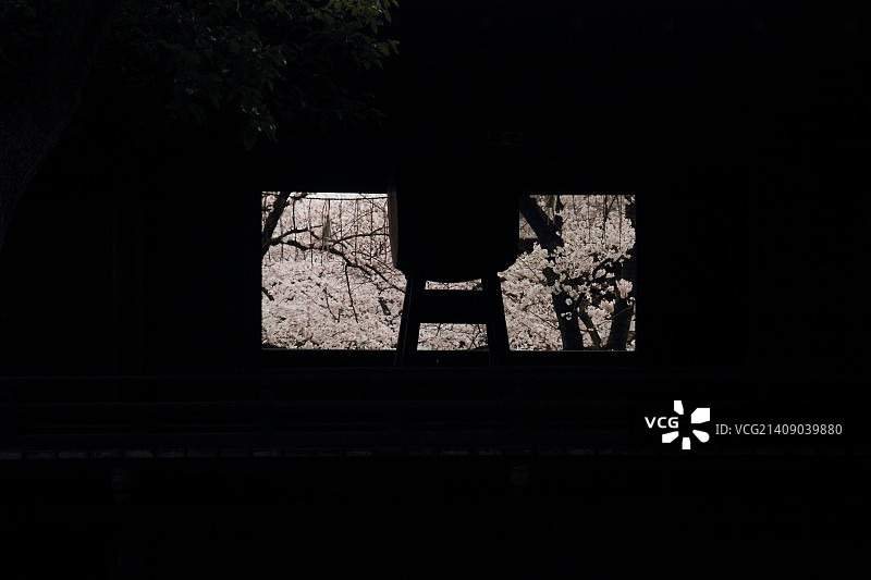 Yasunori Tomori摄影作品图片素材