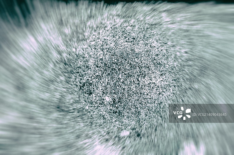 道路Bom纹理图片素材