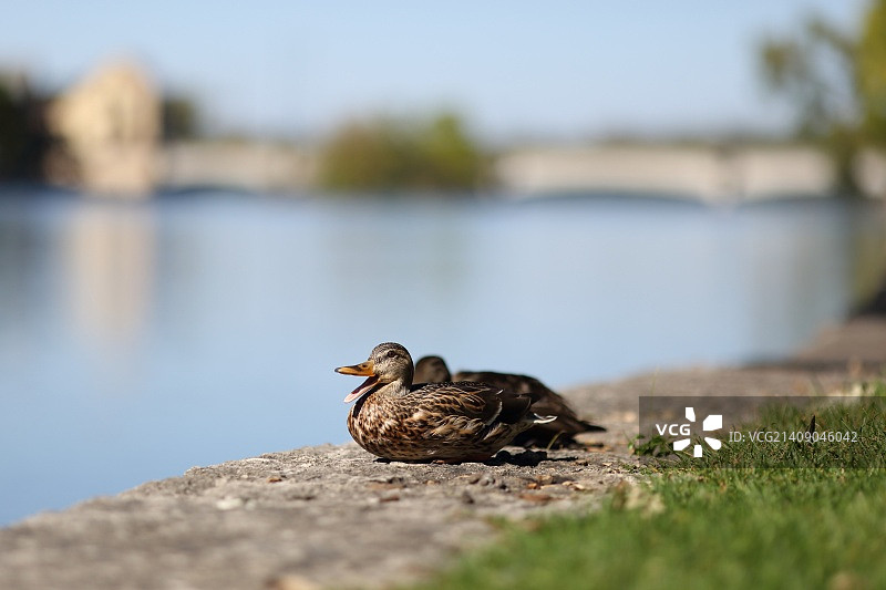 广阔的视野图片素材
