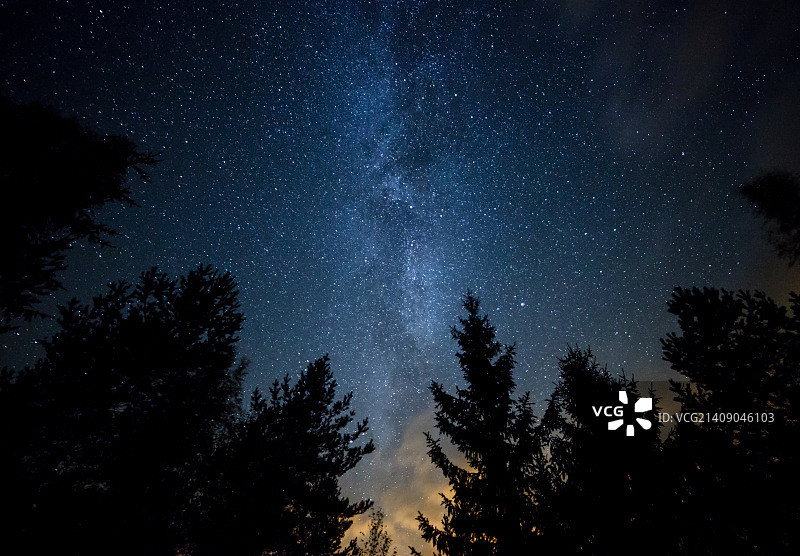 森林之上的银河图片素材