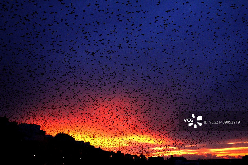 西班牙塔拉戈纳图片素材